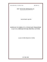 Đánh giá tác động của văn bản quy phạm pháp luật của chính quyền địa phương cấp tỉnh 
