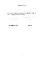 Chế tạo và nghiên cứu tính chất của vật liệu màu nhạy quang dựa trên phức chất của Cu+ định hướng ứng dụng trong pin mặt trời màng mỏng (Luận án tiến sĩ)