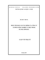 Phân tích báo cáo tài chính của Công ty Cổ phần Nông nghiệp và Thực phẩm Hà Nội  Kinh Bắc (Luận văn thạc sĩ)