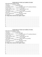 exercises on the past simple tense 