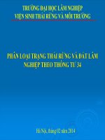 PHÂN LOẠI TRẠNG THÁI RỪNG VÀ ĐẤT LÂM NGHIỆP THEO THÔNG TƯ 34: Điều tra kiểm kê rừng dựa vào hệ thống phân loại trạng thái rừng