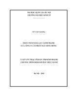 Phân tích năng lực cạnh tranh của công ty cổ phần may sông hồng 