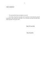 Thiết kế và chế tạo hệ thu phát đa sóng mang sử dụng công nghệ FPGA 