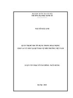 Quản trị rủi ro tín dụng trong hoạt động cho vay ưu đãi tại quỹ bảo vệ môi trường việt nam 