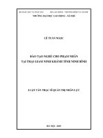 Đào tạo nghề cho phạm nhân tại Trại giam Ninh Khánh tỉnh Ninh Bình (Luận văn thạc sĩ)