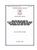 Nhu cầu đào tạo liên tục về xử trí một số bệnh không lây nhiễm của cán bộ y tế xã tỉnh Hòa Bình và thử nghiệm giải pháp can thiệp (Luận án tiến sĩ)