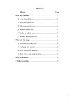 SKKN 2019 2020 DAY HOC CHU DE