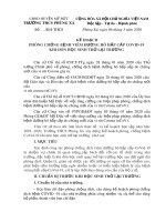 Mẫu Kế hoạch phòng chống bệnh viêm đường hô hấp cấp Covid-19 khi đón học sinh trở lại trường