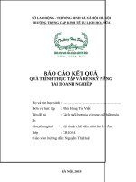 Cách phối hợp gia vị trong chế biến món ăn tại Nhà hàng Tre Việt