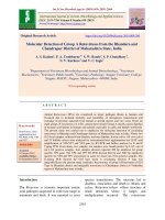 Molecular detection of group a rotaviruses from the bhandara and Chandrapur district of Maharashtra State, India