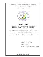 Báo cáo thực tập tốt nghiệp công ty SSIC Lê Tuấn Vũ