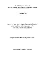 Quản lý đội ngũ tổ trưởng chuyên môn các trường tiểu học khu vực đồng bằng sông cửu long
