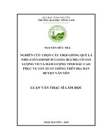 Nghiên cứu chọn cây trội giống quế lá nhỏ có sản lượng vỏ và hàm lượng tinh dầu cao phục vụ sản xuất giống trên địa bàn huyện văn yên 