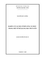 Nghiên cứu sự phá vỡ đối xứng tự phát trong một số hệ quang học phi tuyến 