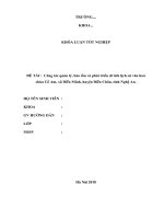 Công tác quản lý, bảo tồn và phát triển di tích lịch sử văn hoá chùa Cổ Am, xã Diễn Minh, huyện Diễn Châu, tỉnh Nghệ An