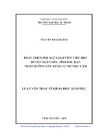 Phát triển đội ngũ giáo viên tiểu học huyện ngân sơn, tỉnh bắc kạn theo hướng xây dựng vị trí việc làm 