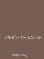 Viêm mũi xoang mạn tính 