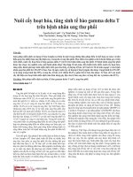 Nuôi cấy hoạt hóa, tăng sinh tế bào gamma delta T trên bệnh nhân ung thư phổi