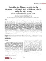 Đánh giá khả năng đối kháng của một số giống lúa (Oryza sativa L.) với 3 loại cây cỏ gây hại chính trong ruộng lúa ở Đồng bằng sông Cửu Long