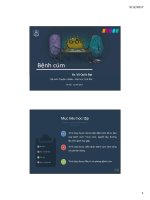 Influenza 2017 2 slide print 