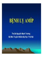 Ly amip đại học 