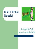 Benh thuy dau y5 