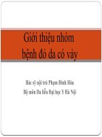 bai giang benh do da co vay va benh vay nen  6 9 