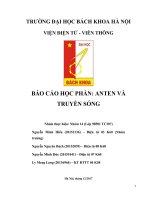 Báo cáo học phần Anten và truyền sóng: Thiết kế anten dẫn xạ (anten Yagi) bằng phương pháp số