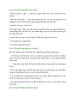 Soạn bài: Chiếu cầu hiền (ngô thì nhậm)