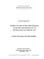 Nghiên cứu một số đặc điểm sinh học và tri thức địa phương về cây trà hoa vàng tại tỉnh bắc kạn 