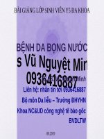 A  dr minh   bài GIẢNG gốc DÀNH CHO y5  BỆNH DA BỌNG nước 201909 phù hợp bộ test (1) ppsx 
