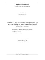 Nghiên cứu mô phỏng ảnh hưởng của ma sát âm đến ứng xử của cọc khoan nhồi của móng mố cầu vượt ở Tp. HCM