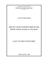 Một số vấn đề về đường tron euler, đường thẳng euler và ứng dụng 
