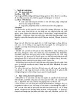 Kinh tế đối ngoài Chính sách mặt hàng của Việt Nam giai đoạn 1986 đến nay