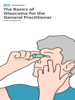 NewGradOptometry the basics of glaucoma pdf