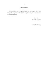 39  tăng cường thu hút đầu tư trực tiếp nước ngoài của hàn quốc vào hưng yên giai đoạn 2019 – 2023 