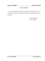 66  giải pháp chủ yếu nhằm tăng cường quản trị sử dụng VKD tại công ty TNHH jang won tech vina 