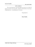 50  hoàn thiện quy trình kiểm toán khoản mục doanh thu bán hàng và cung cấp dịch vụ trong kiểm toán BCTC do công ty TNHH kiểm toán – tư vấn định giá ACC việt nam 