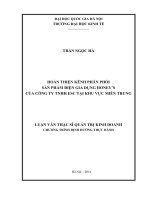 Hoàn thiện kênh phân phối sản phẩm điện gia dụng honeys của công ty TNHH ESC tại khu vực miền trung 