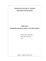 NIÊN LUẬN MARKETING ONLINE tại CTCP landco