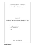NIÊN LUẬN MARKETING ONLINE tại công ty cổ phần Bất động sản REAL PRO