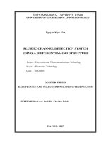 Fluidic channel detection system using a differential c4d structure = hệ thống phát hiện kênh chất lỏng sử dụng cấu trúc c4d vi sai  