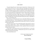 Giải pháp nâng cao hiệu quả hoạt động kinh doanh lữ hành nội địa của công ty cổ phần đầu tư – vận tải – du lịch