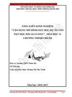 Sáng kiến kinh nghiệm vận dụng mô hình dạy học dự án vào dạy học bài glucozơ 