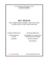 QUI  HOẠCH PHÁT TRIỂN CÔNG NGHIỆP – TIỂU THỦ CÔNG NGHIỆP TỈNH CÀ MAU ĐẾN NĂM 2020