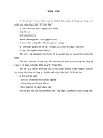 Hoàn thiện công tác tổ chức lực lượng bán hàng của công ty cổ phần xuất nhập khẩu Quốc Tế Thiên Phú