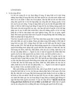 Luận văn quyền của bị cáo trong giai đoạn chuẩn bị xét xử sơ thẩm vụ án hình sự