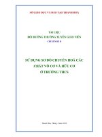 TÀI LIỆU BỒI DƯỠNG SỬ DỤNG SƠ ĐỒ CHUYỂN HOÁ CÁC CHẤT VÔ CƠ VÀ HỮU CƠ Ở TRƯỜNG THCS