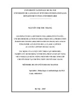 Les impacts de la révision collaborative étayée  une recherche action en didactique de la production écrite des textes argumentatifs en français langue étrangère aux  