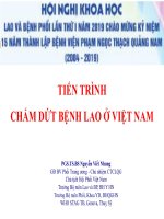 01  PGS TS BS nguyen viet nhung tien trinh cham dut benh lao VN 2019 